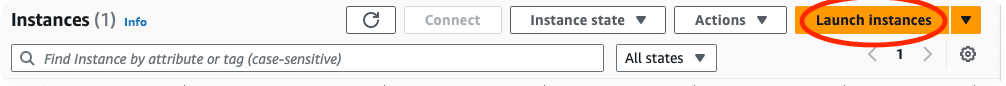 launch-instances.png